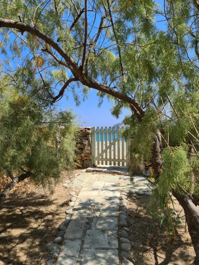 Nature Eco Living Serifos Livadi  Buitenkant foto